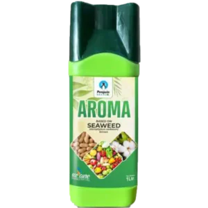Aroma