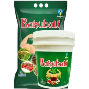Bahubali