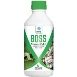 Boss