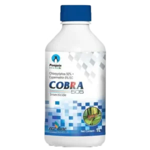 Cobra