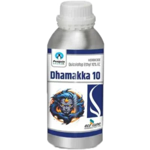 Dhamakka 10