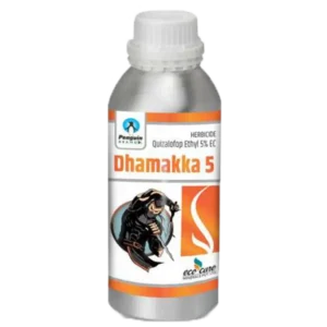 Dhamakka 5