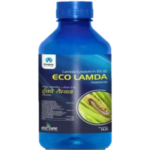 Eco Lamda