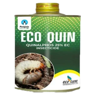 Eco Quin