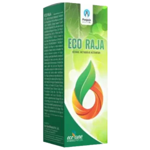 Eco Raja