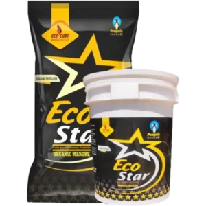 Eco Star