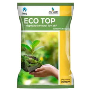Eco Top