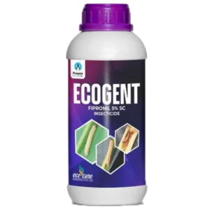 EcoGent