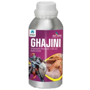 Ghajini