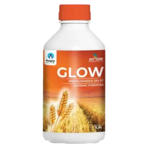 Glow