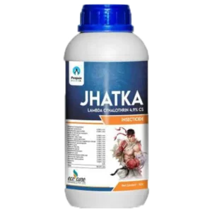 Jhatka