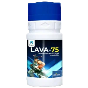 Lava-75