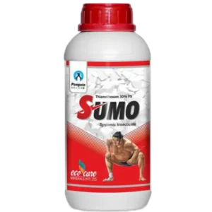 Sumo
