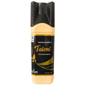 Talent